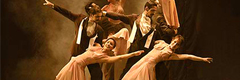 Sabor a Tango Lessons, Dinner Show
