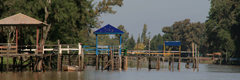 Tour a Tigre em Barco e Ilha