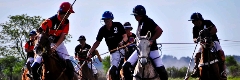 Polo Day Tour Buenos Aires