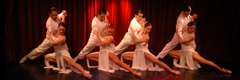 Rojo Tango Dinner-Spectacle