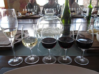 Wine-Tasting-Anuva-Wines