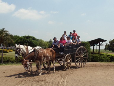 Fiesta-Gaucha-at-Estancia-Santa-Susana 