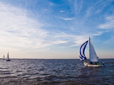 Tigre-&-San-Isidro-Tour-by-Boat