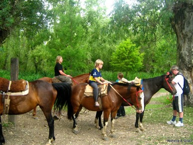 Tigre-Island-Adventure-Day-Tour