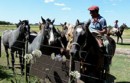Paquete Auténtico: City Tour + Tango Cena Show + Día en Estancia Gaucha