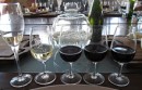 Cata de Vinos Anuva Wines