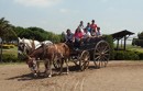 Estancia Santa Susana Fiesta Gaucha