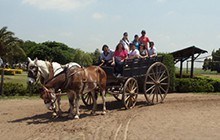 Fiesta-Gaucha-at-Estancia-Santa-Susana 