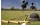 Polo-Lessons-Buenos-Aires
