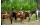 Tigre-Island-Adventure-Day-Tour