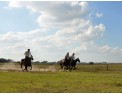 Fiesta-Gaucha-en-Estancia-Don-Silvano