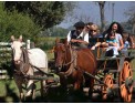 Fiesta-Gaucha-en-Estancia-Don-Silvano