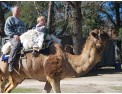 Tour-al-Zoológico-de-Lujan 