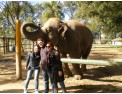 Tour-al-Zoológico-de-Lujan 