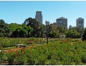 Caminata-por-los-Bosques-de-Palermo