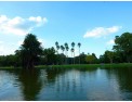 Caminata-por-los-Bosques-de-Palermo