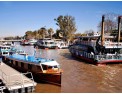 Tour-a-Tigre-y-San-Isidro-en-Barco 