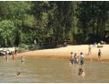 Visita-de-un-día-a-una-Isla-de-Tigre