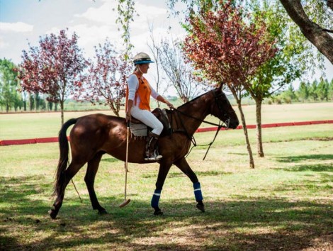 Polo Day Tour 