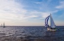 Tour de Tigre et San Isidro en Bateau