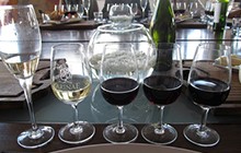 Wine-Tasting-Anuva-Wines