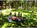 Kayak Half-day Trip Tigre Delta