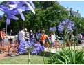 Visite-bois-et-lacs-a-vélo 