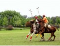 Jour-de-Polo-buenos-aires