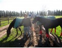 Polo-Lessons-Buenos-Aires