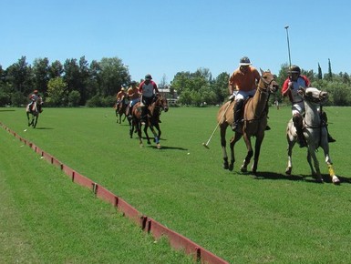 Polo-Lessons-Buenos-Aires