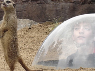Navegação-em-Tigre-e-no-Bioparque-Temaiken