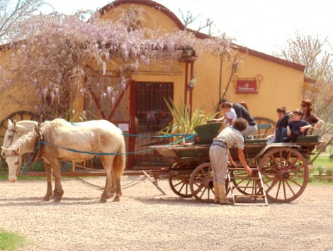 Fiesta-Gaucha-at-Estancia-Don-Silvano