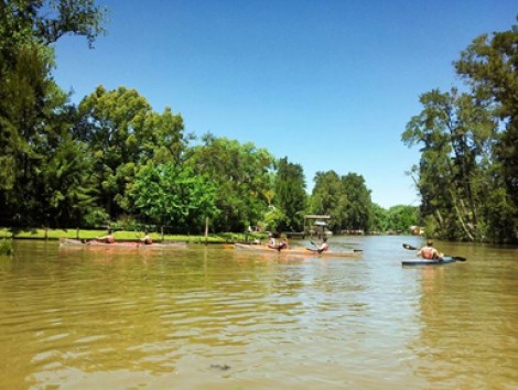 Kayak Half-day Trip Tigre Delta