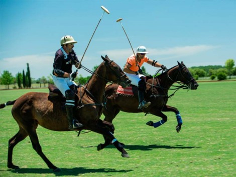 Polo Day Tour 