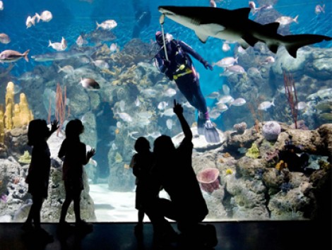Temaiken-Biopark-Tour
