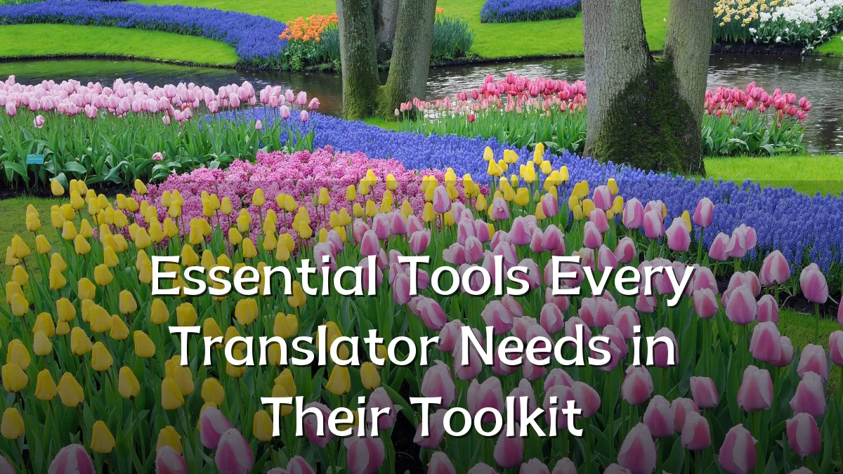 Essential Tools Every Translator Needs in Their Toolkit