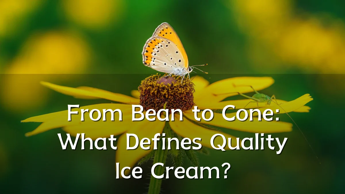 From Bean to Cone: What Defines Quality Ice Cream?
