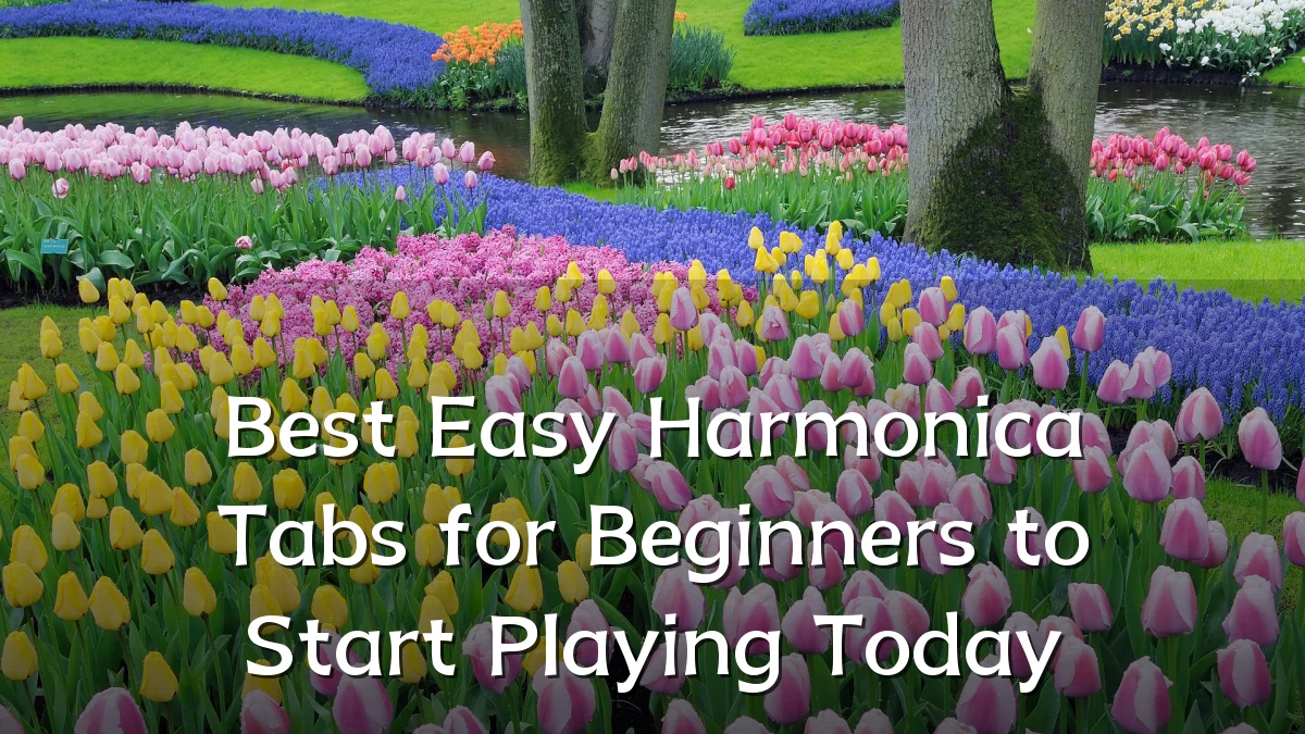 Best Easy Harmonica Tabs for Beginners to Start Playing Today