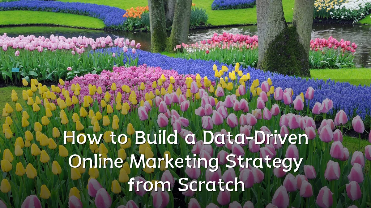 How to Build a Data-Driven Online Marketing Strategy from Scratch
