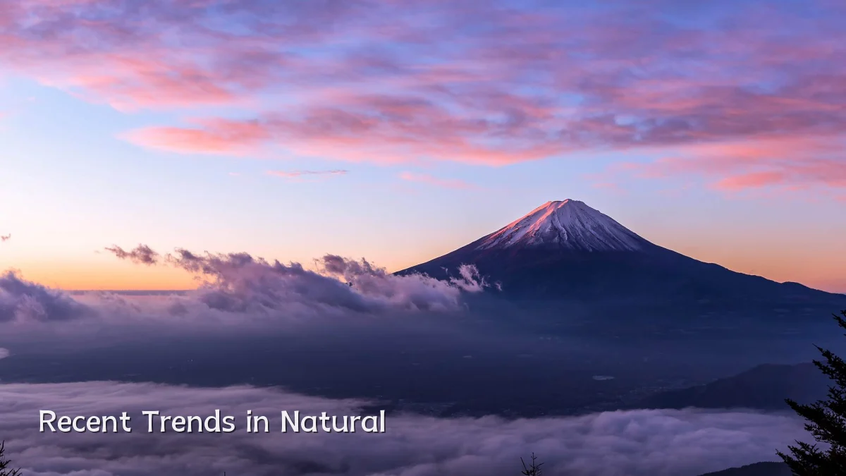 Recent Trends in Natural