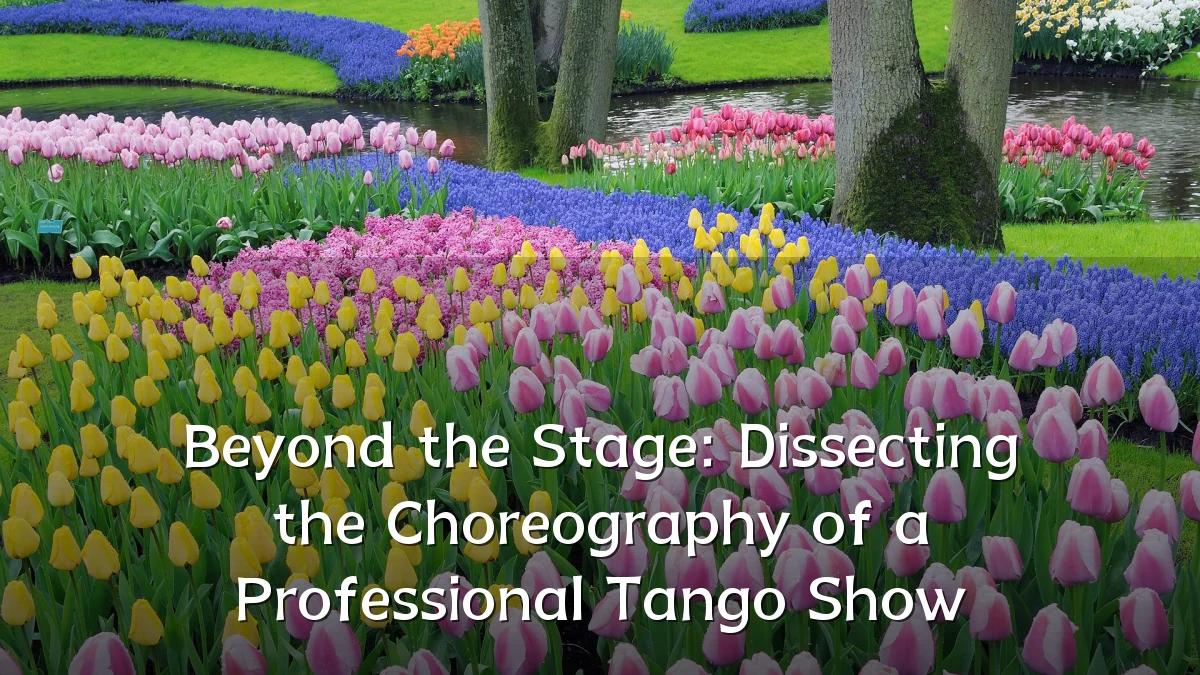 Beyond the Stage: Dissecting the Choreography of a Professional Tango Show