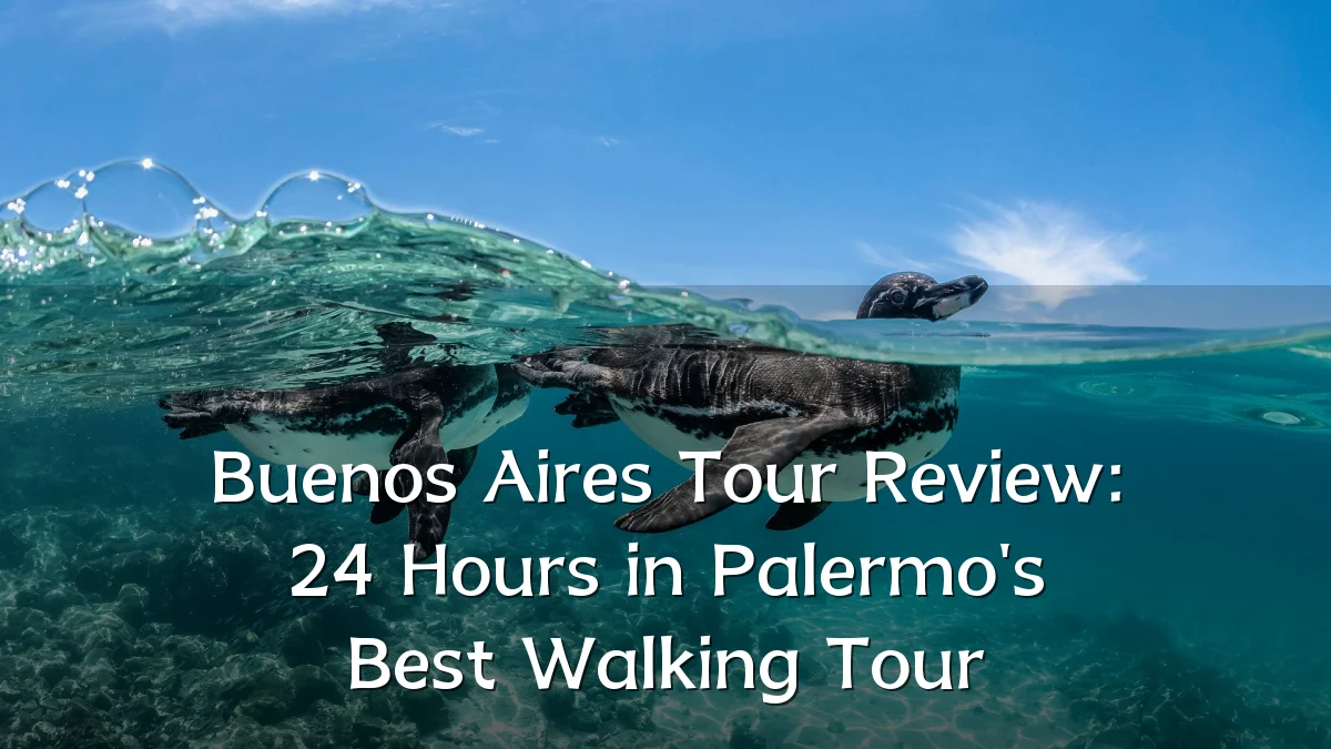 Buenos Aires Tour Review: 24 Hours in Palermo's Best Walking Tour