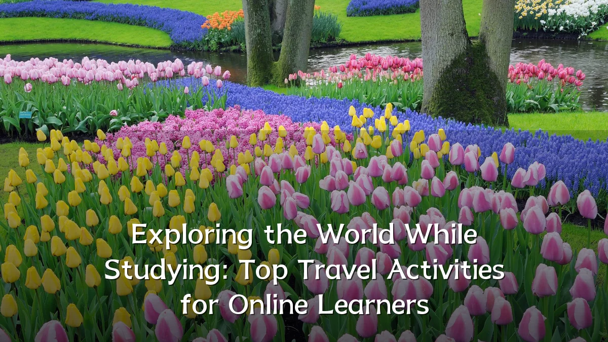 Exploring the World While Studying: Top Travel Activities for Online Learners