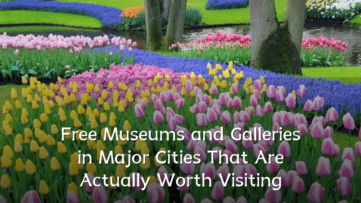 Free Museums and Galleries in Major Cities That Are Actually Worth Visiting