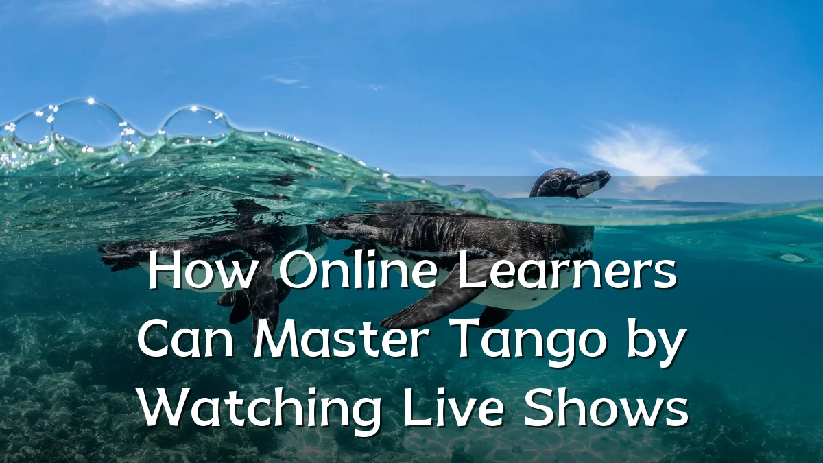 How Online Learners Can Master Tango by Watching Live Shows