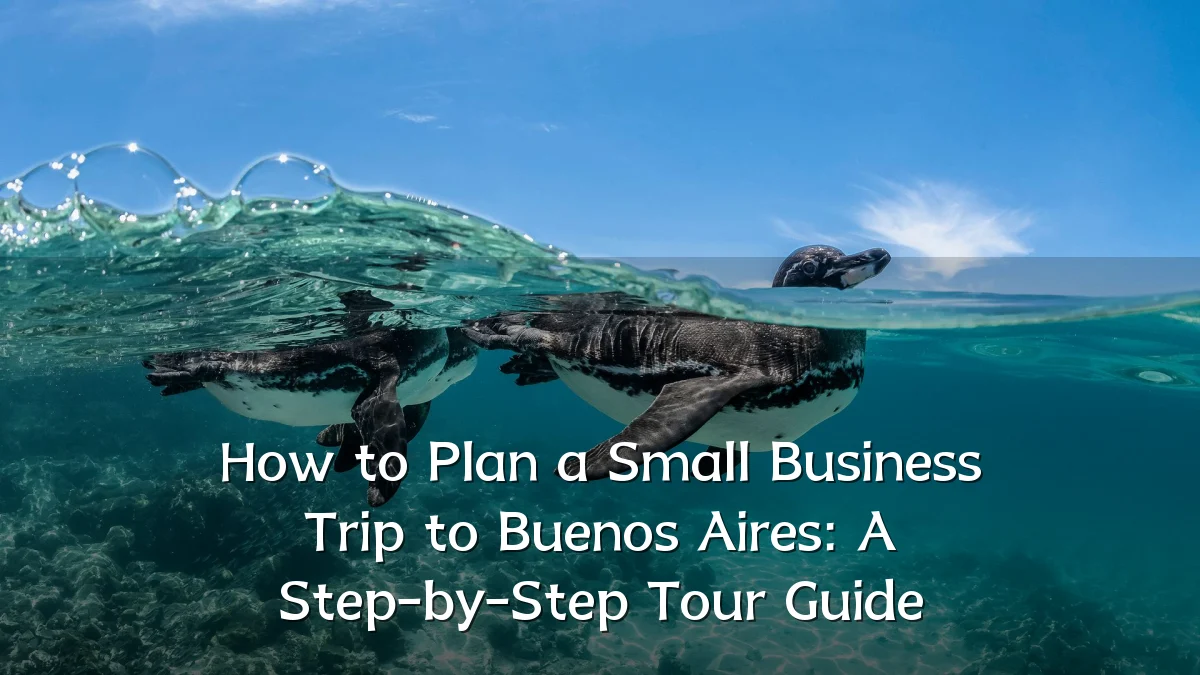 How to Plan a Small Business Trip to Buenos Aires: A Step-by-Step Tour Guide
