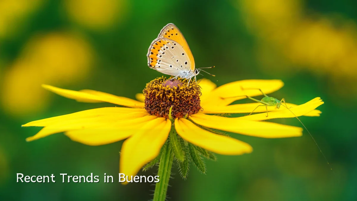 Recent Trends in Buenos