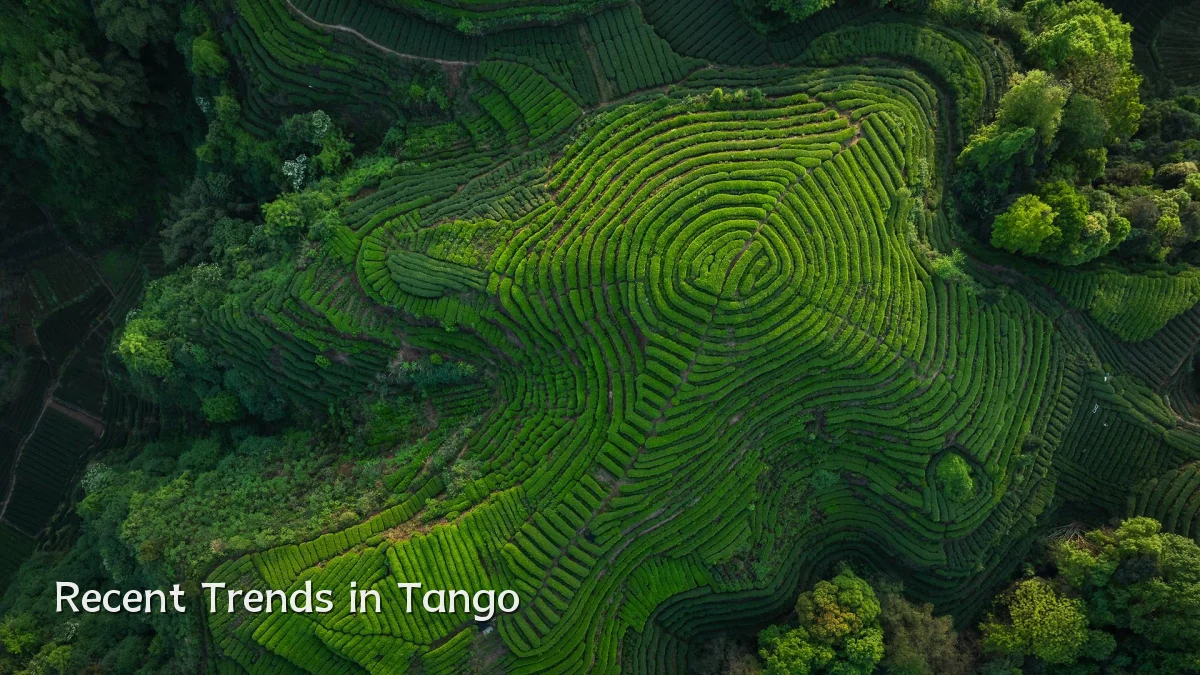 Recent Trends in Tango