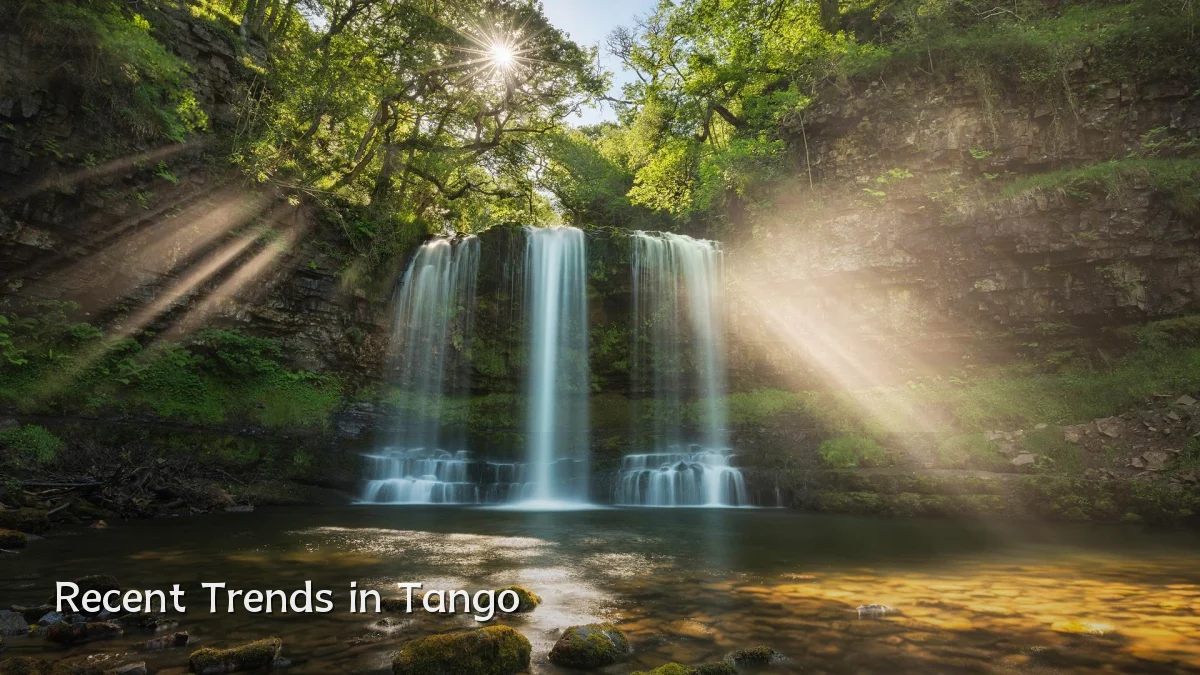 Recent Trends in Tango