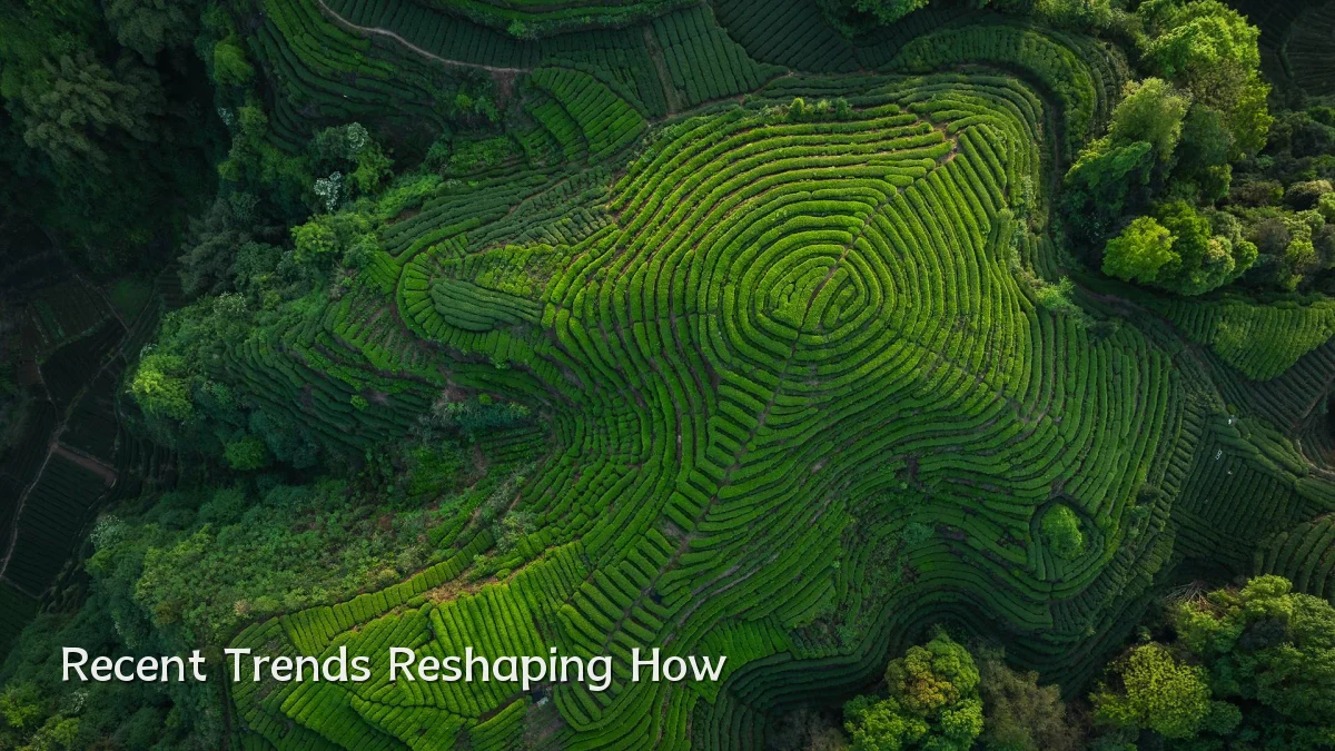 Recent Trends Reshaping How